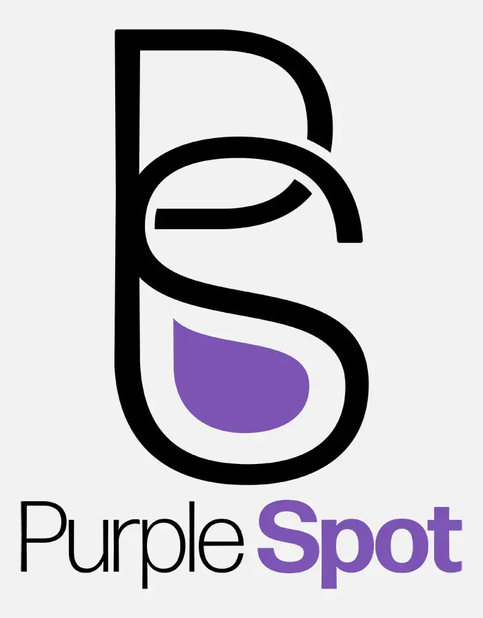 logo pour une marque de lessive fictive purple spot